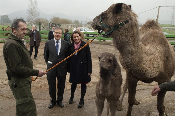 Arasti y Charo Baqué en la presentación de la nueva dromedaria