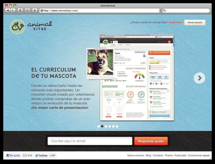 Animalvitae.Com