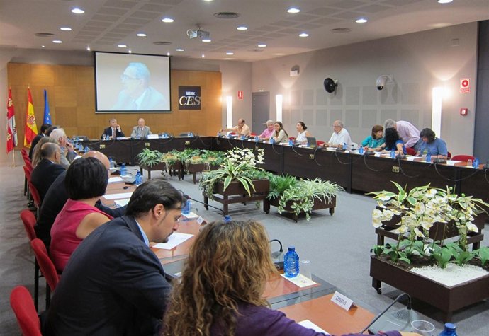 Pleno Del CES Para La Aprobación Del Informe Anual