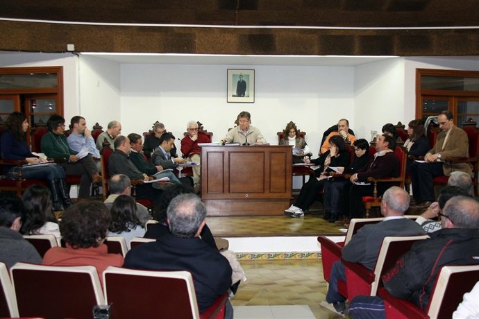 Pleno del ayuntamiento de l'Alcúdia