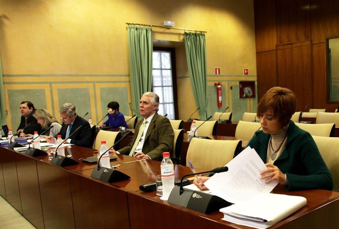 María Dolores Quintana (IULV-CA), a la izquierda, en una comisión parlamentaria