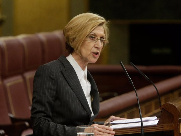 Rosa Díez, portavoz de UPyD