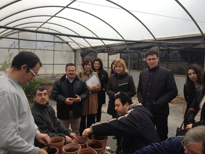 Comisión Discapacidad en Alhama