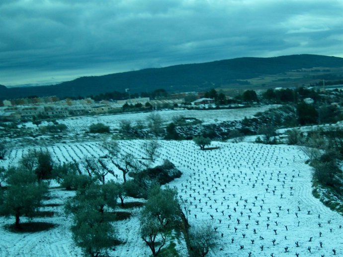 Nieve en Requena (Valencia)
