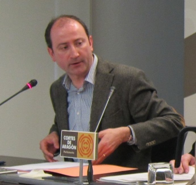 El diputado de IU-Aragon Luis Ángel Romero.