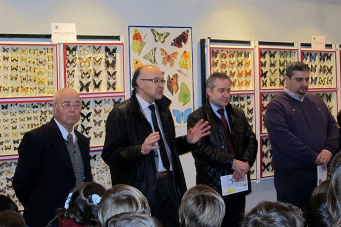 Presentación Mariposas e Insectos de los 5 continentes