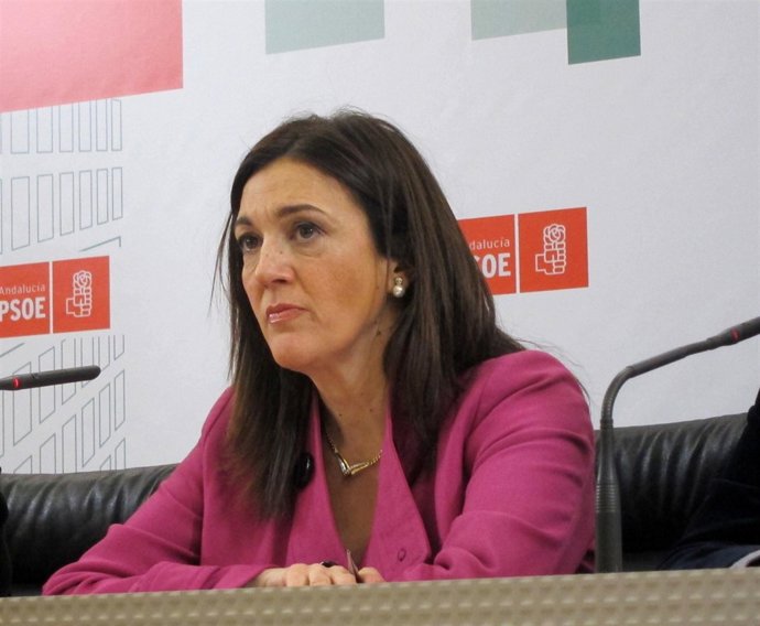 La portavoz del Grupo Socialista en el Congreso, Soraya Rodríguez.