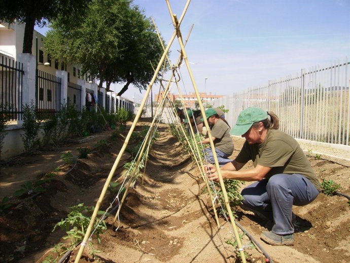 Mujeres En Taller De Formación