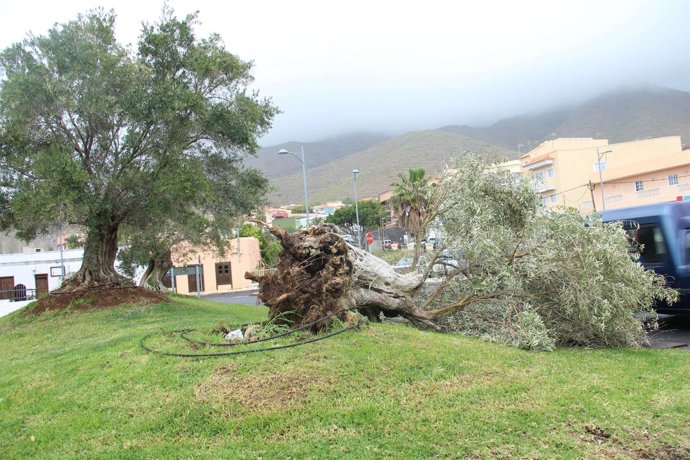 Efectos del temporal