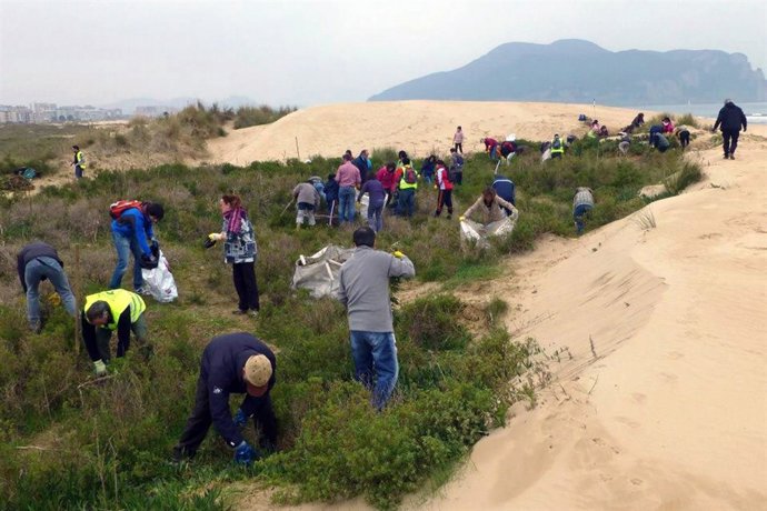 Retirada de plantas invasoras