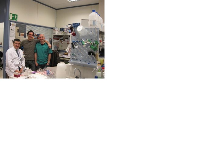 Investigadores patentan sistema de control de céluluas tumorales circulantes