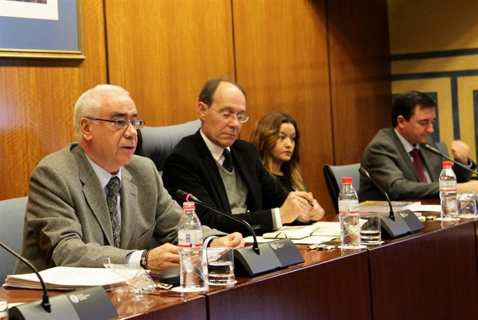Luciano Alonso en la Comisión de Cultura en el Parlamento