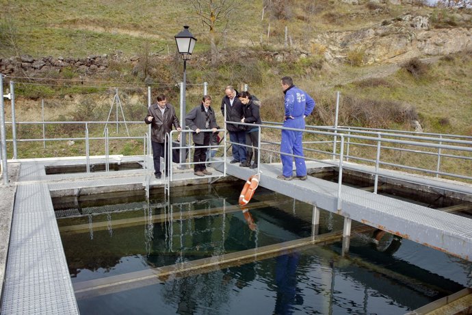 Visita de la estación 