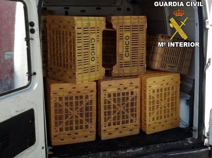 Cajas de plástico recuperadas, que habían sido sustraídas en Aldaia