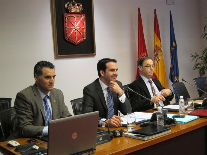El consejero Íñigo Alli, en el Parlamento de Navarra.