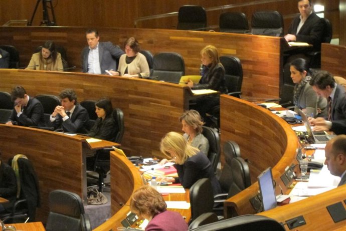 Pleno Junta General 8 de marzo de 2013