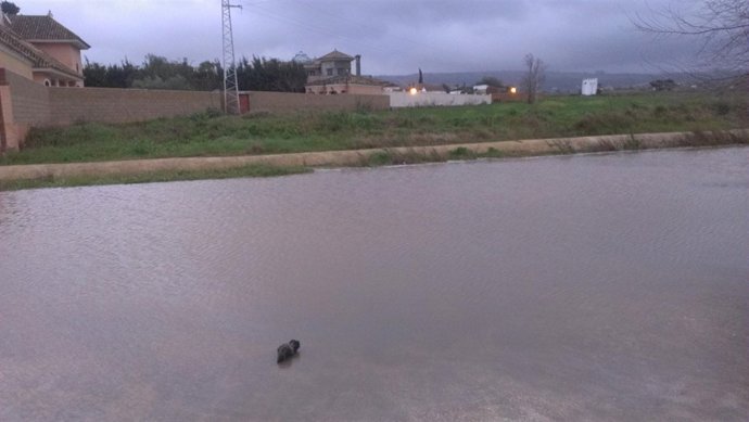 Lluvias en El Santiscal, en Arcos