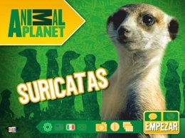 Animal Planet Suricatas