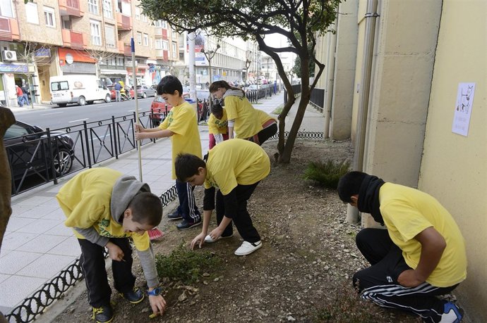 Patrullas verdes deel centro José Arce Bodega