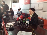 Samuel Folgueral insiste en que el PSOE conocía el acuerdo de Ponferrada y tacha de "circo" la situación generada