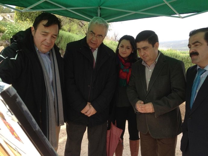 Reyes en la carretera que une Puente del Obispo y Jimena hoy 