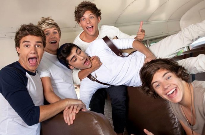 One Direction animados en un avión