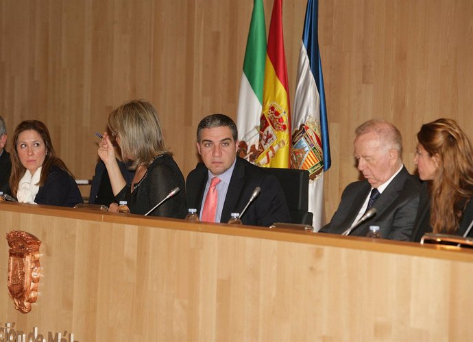 Pleno de la Diputación de Málaga marzo 2013
