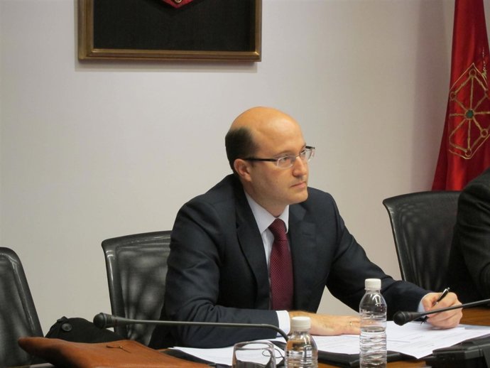 El director gerente de Sodena, Carlos Fernández.