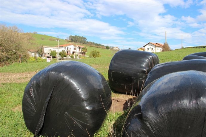 Recogida de plásticos de uso agroganadero