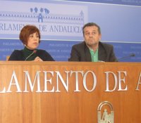 IU-CA no se ha planteado cambiar la Ley de RTVA para elegir al nuevo director, sino que hay que "atenerse" a la que hay