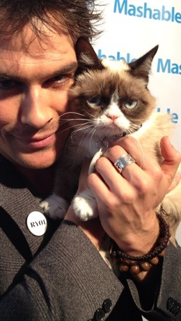 Ian Somerhalder y Grumpy Cat