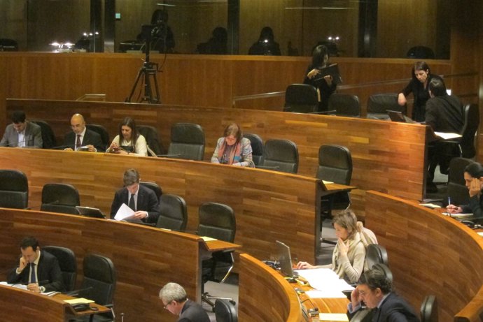 Pleno de la Junta General