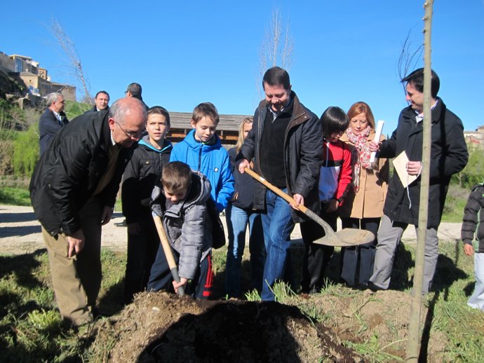 Page plantando un árbol
