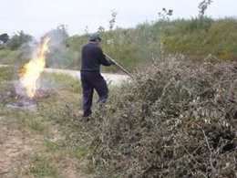 Quema de restos vegetales