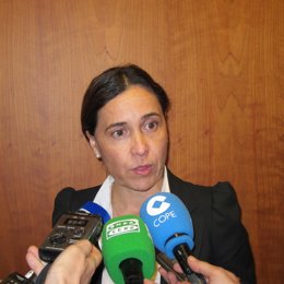 La consejera de Hacienda Dolores Carcedo