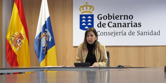 La consejera de Sanidad del Gobierno de Canarias, Brígida Mendoza
