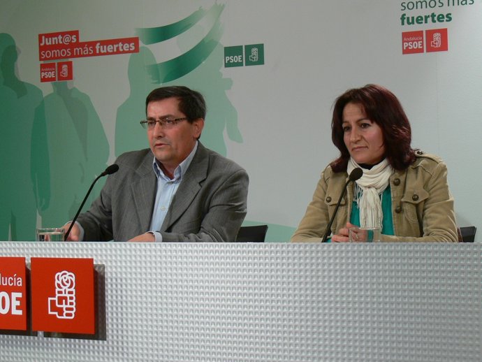 NP. PSOE Moción De Censura Cacín 20130315