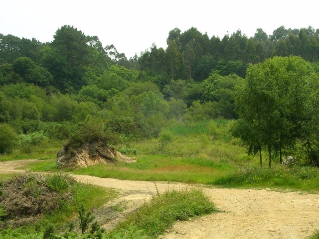 Entorno De Salave.