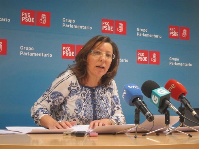 La diputada del PSdeG Carmen Gallego en rueda de prensa