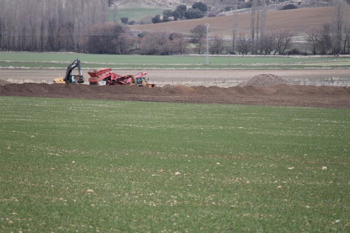 Sistema de precribado
