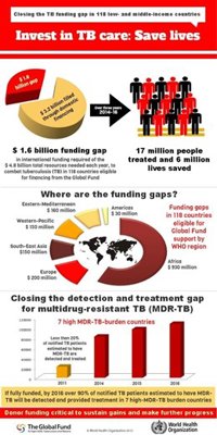 La OMS pide a la comunidad internacional más de 1.200 millones para frenar la tuberculosis multiresistente
