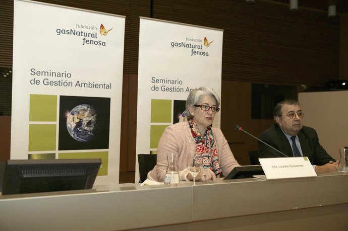 Goicoechea, durante su participación en el seminario sobre electricidad.