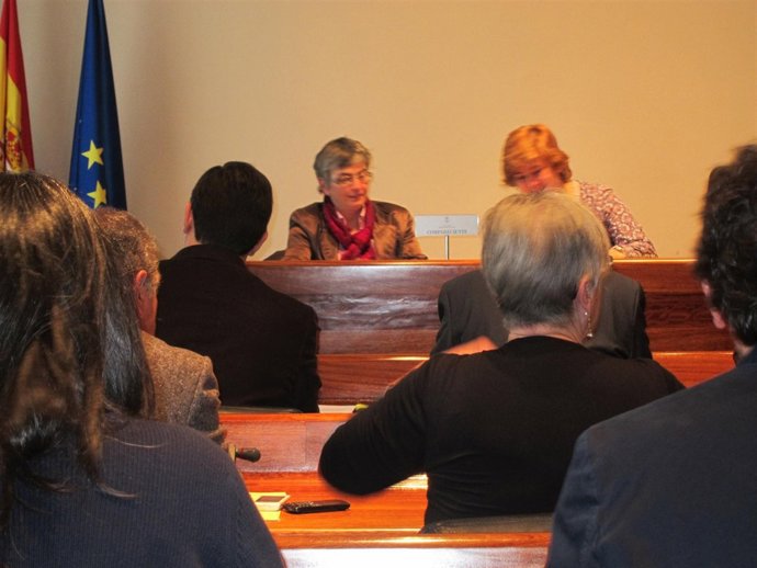 La consejera de Educación en comisión parlamentaria