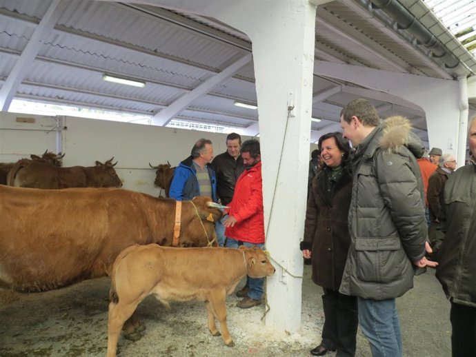 Consejera de Agroganadería en Tineo