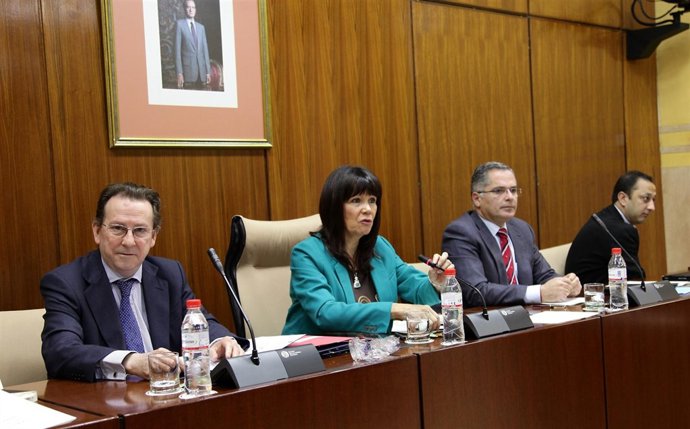 Emilio de Llera, en comisión parlamentaria