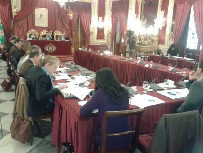 Pleno de Diputación