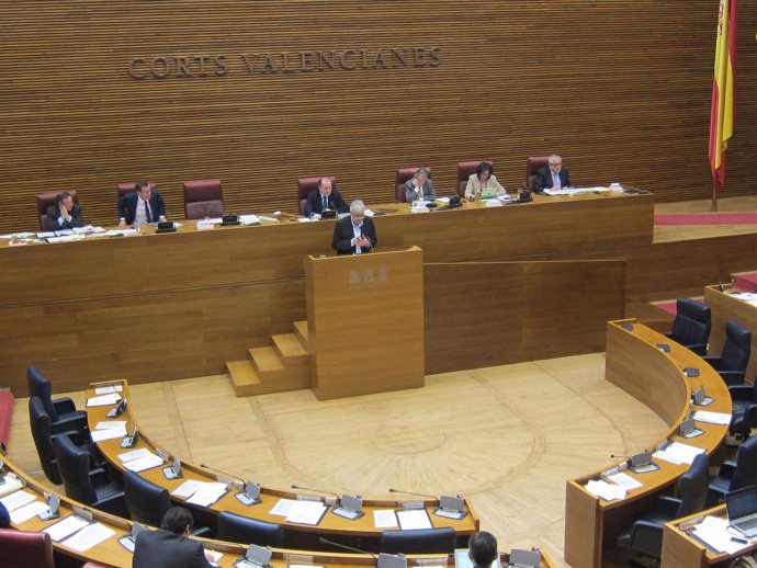 Signes defiende en las Corts la proposición sobre el 'kamikaze' indultado