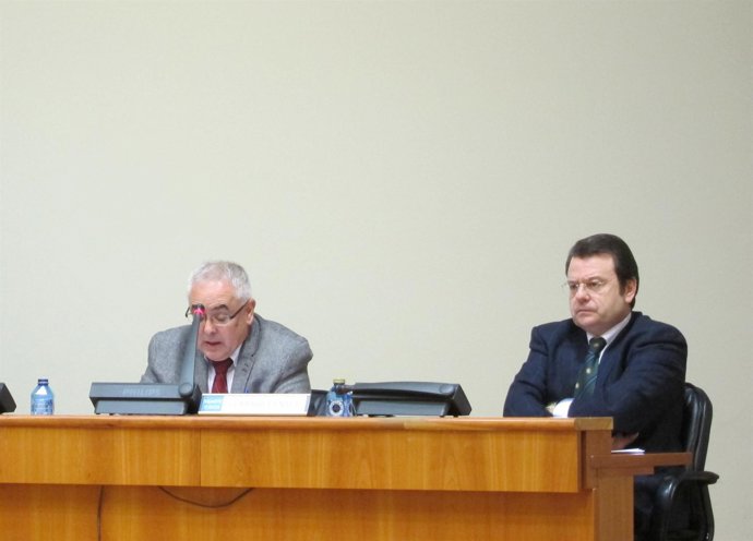 Tahoces en la comisión parlamentaria de este miércoles