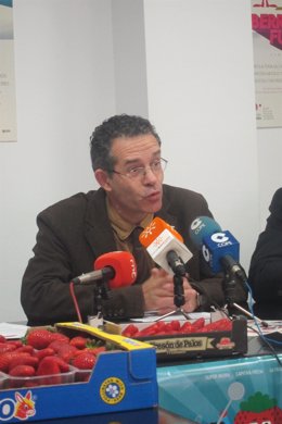 El gerente de Freshuelva, Rafael Domínguez.
