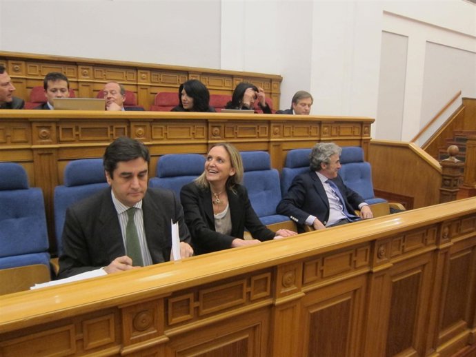 Pleno de las Cortes de Castilla-La Mancha